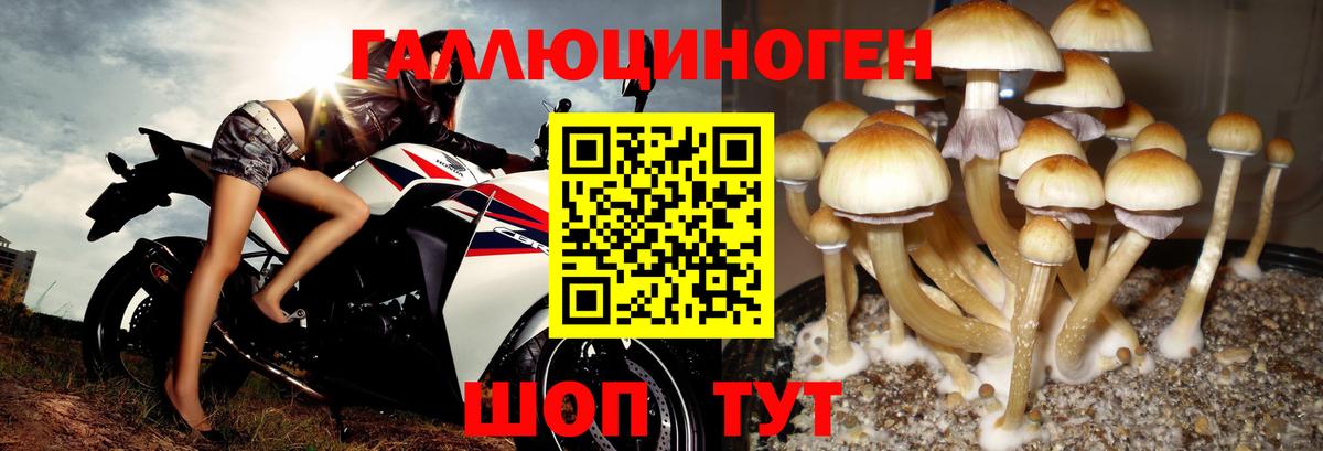 Галлюциногенные грибы ЛСД Майкоп