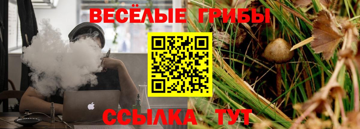 Майкоп  дарнет шоп  Вход с VPN  Галлюциногенные грибы GOLDEN TEACHER 